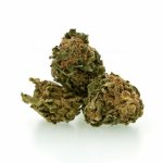 CBD Buds