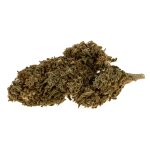 CBD Buds
